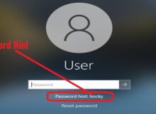 What is a password hint in computer login