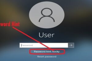 What is a password hint in computer login
