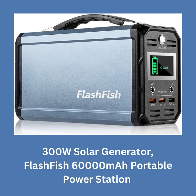 FlashFish 60000mAh Camping Generator